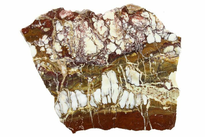 Polished Wild Horse Magnesite Slab - Arizona #264000